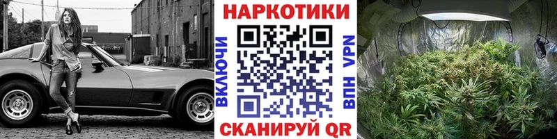 Купить наркоту Лаишево ссылка на мегу сайт  Канабис  Альфа ПВП  ГАШ  АМФ  Меф мяу мяу  Cocaine 