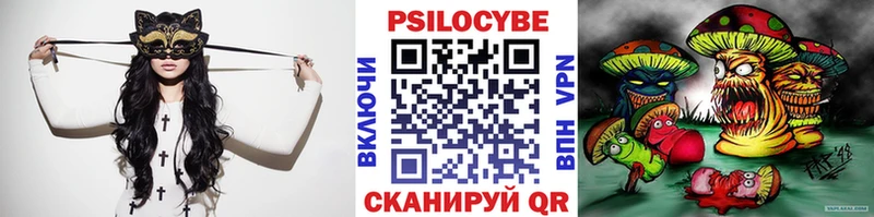 Галлюциногенные грибы Psilocybine cubensis  Лаишево 